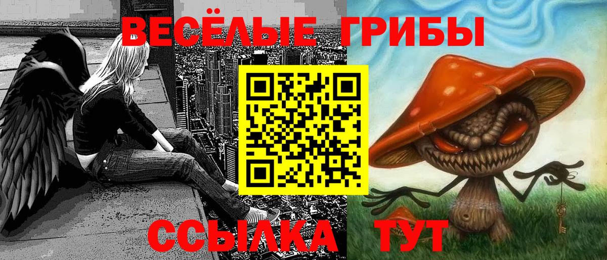 Галлюциногенные грибы прущие грибы Сергиев Посад
